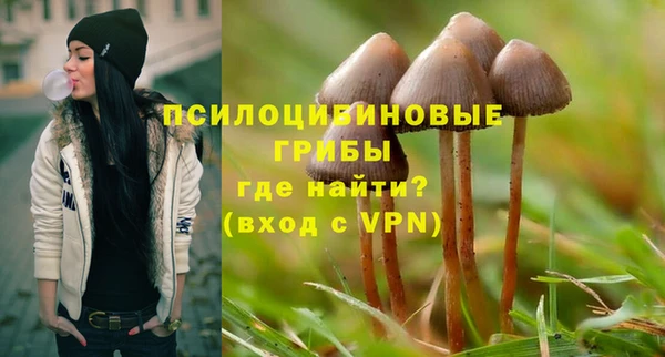 герыч Абаза
