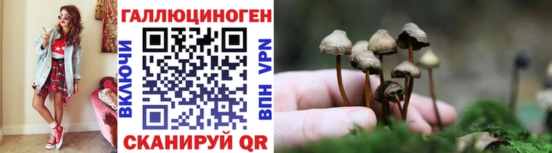 Галлюциногенные грибы Magic Shrooms  Новомичуринск 